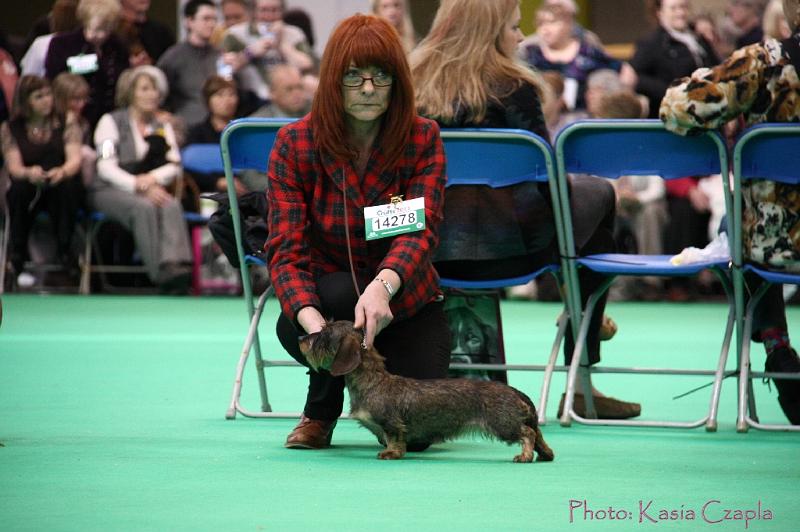 Crufts2011_2 1136.jpg